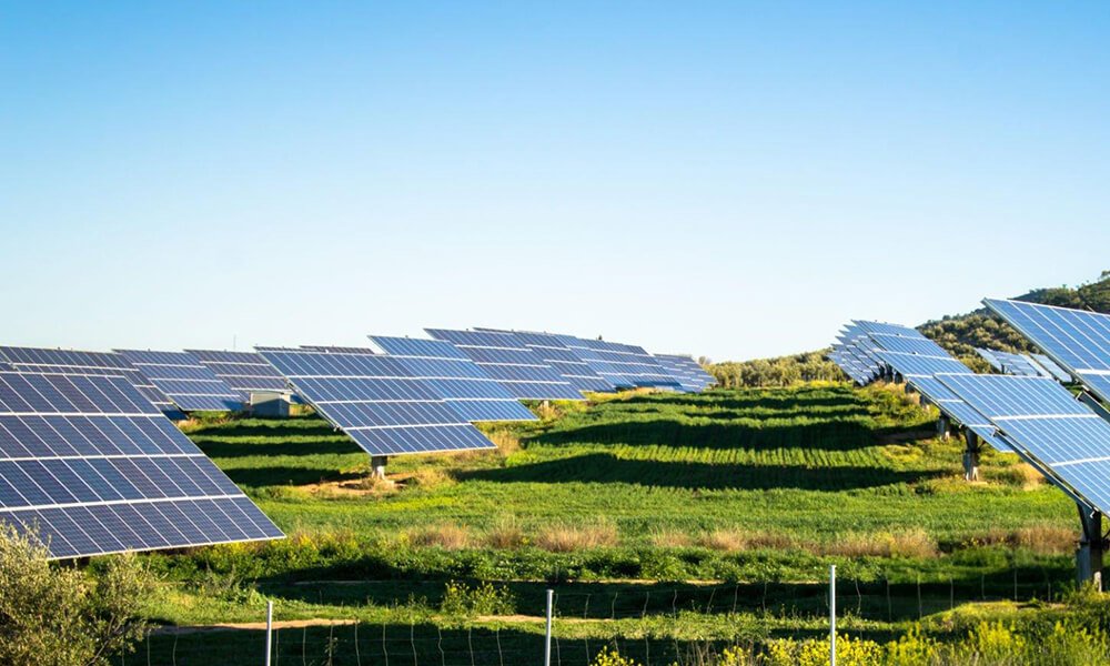 4 Wheel Remote Control Mower for Solar Parks