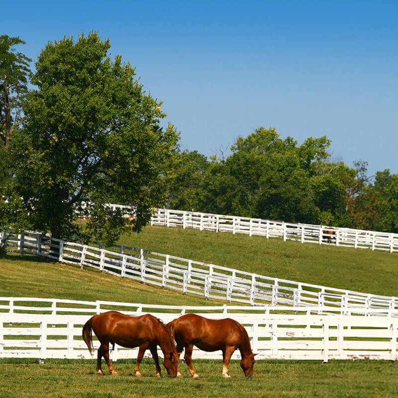 Overcoming the Challenges of Equestrian Property Maintenance