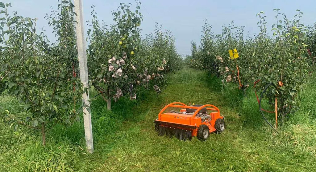 Safety First Operating Protocols