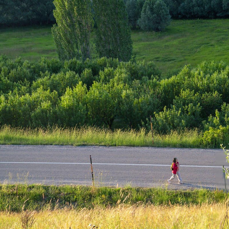 The Challenges of Traditional Roadside Mowing