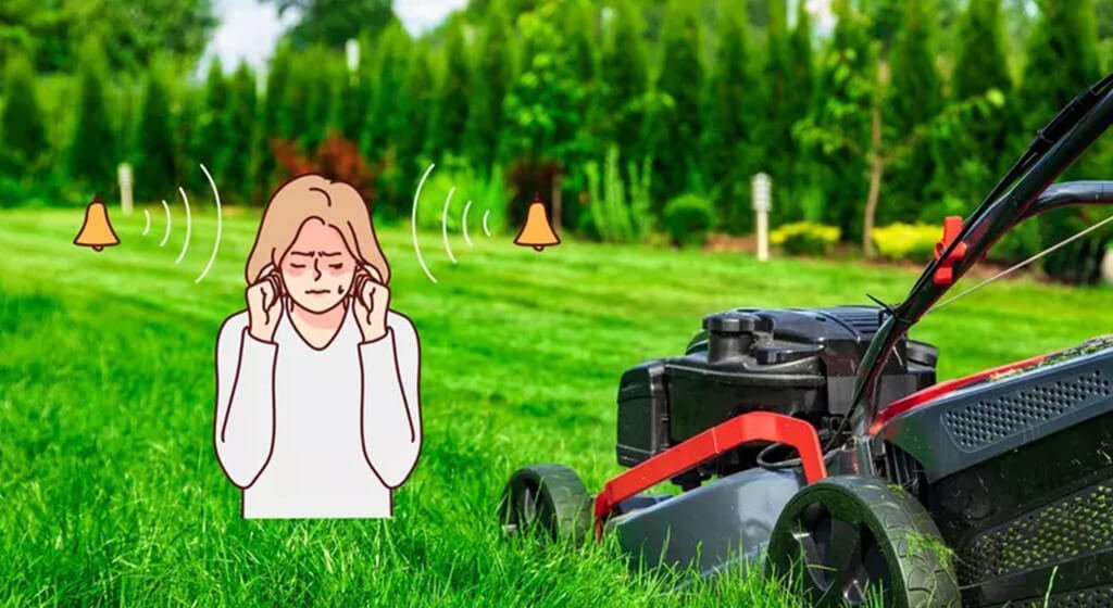 Choose a Remote Control Track Mower Noise