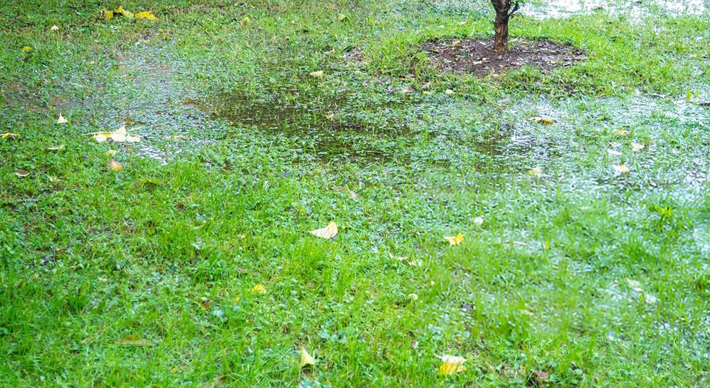 Choose a Remote Control Track Mower Wet