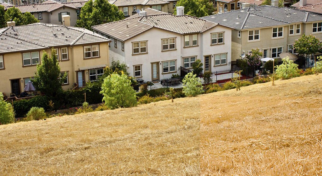 Commercial Remote Control Mower Terrain