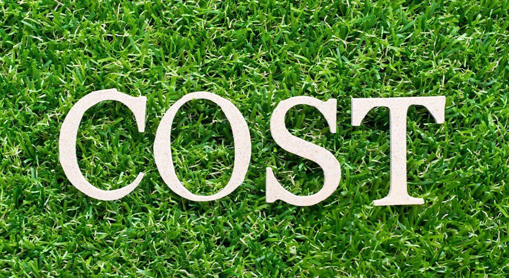 Costs and How to Pay for Them
