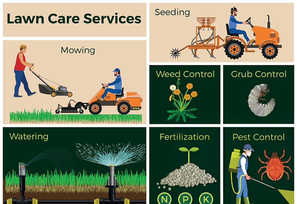 Decide What Lawn Care Services To Offer