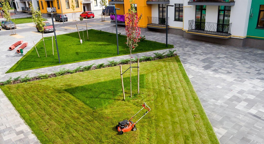 How to Start a Lawn Mowing Business With No Money