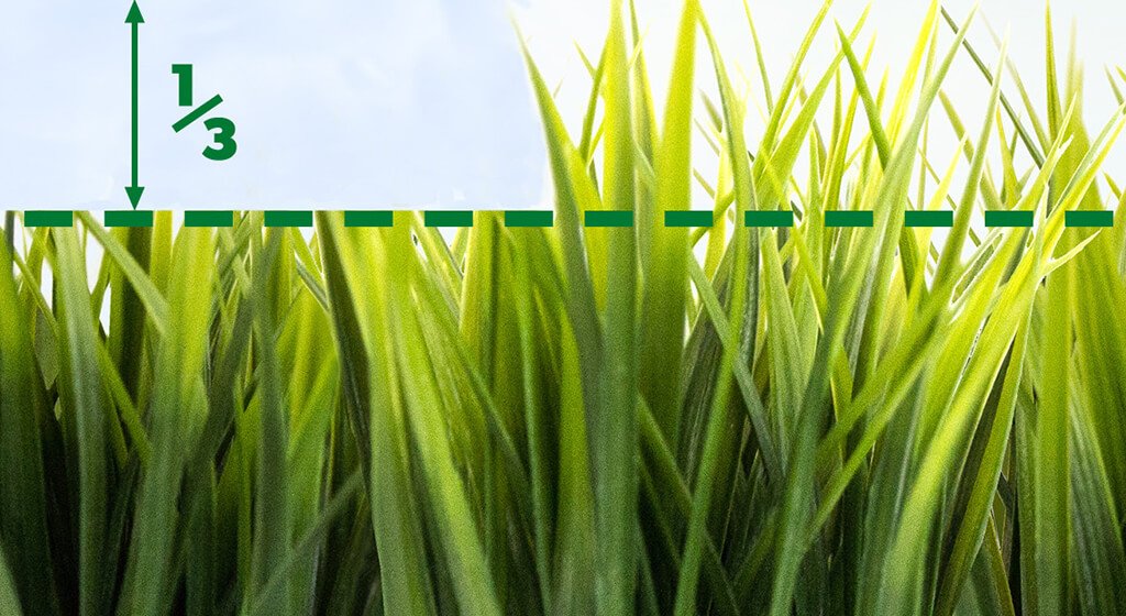 Mowing Tips