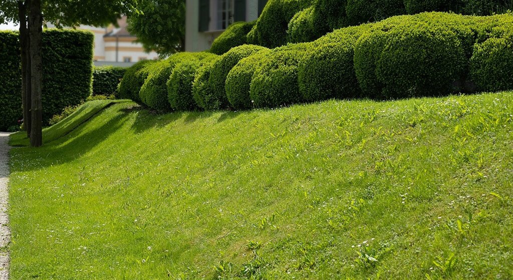 Radio Controlled Mower Terrain Considerations