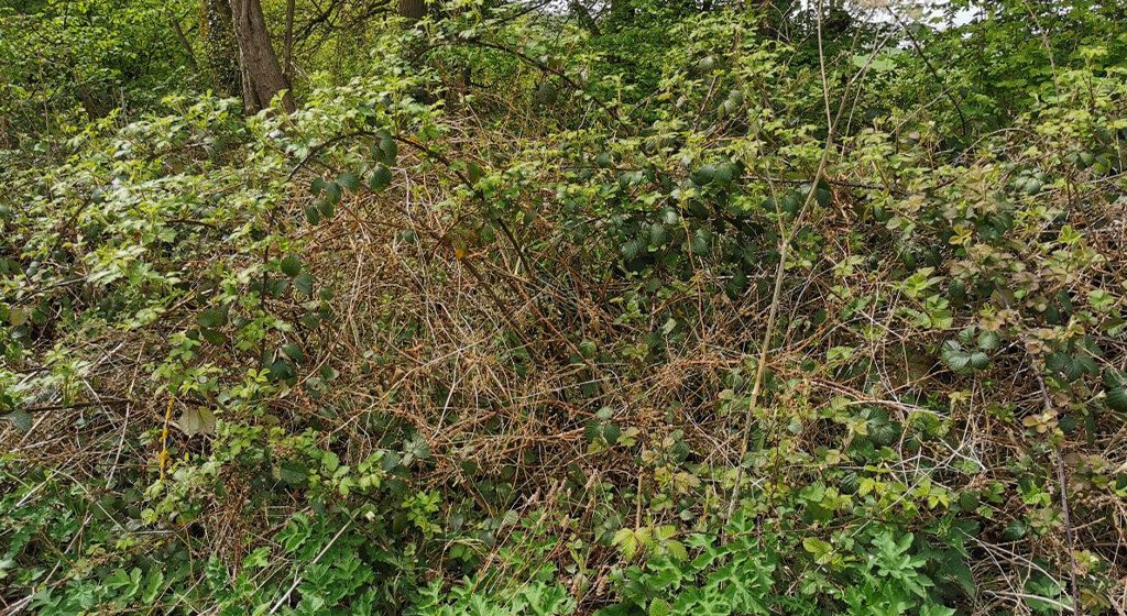 Remote Control Zero Turn Lawn Mower Brambles