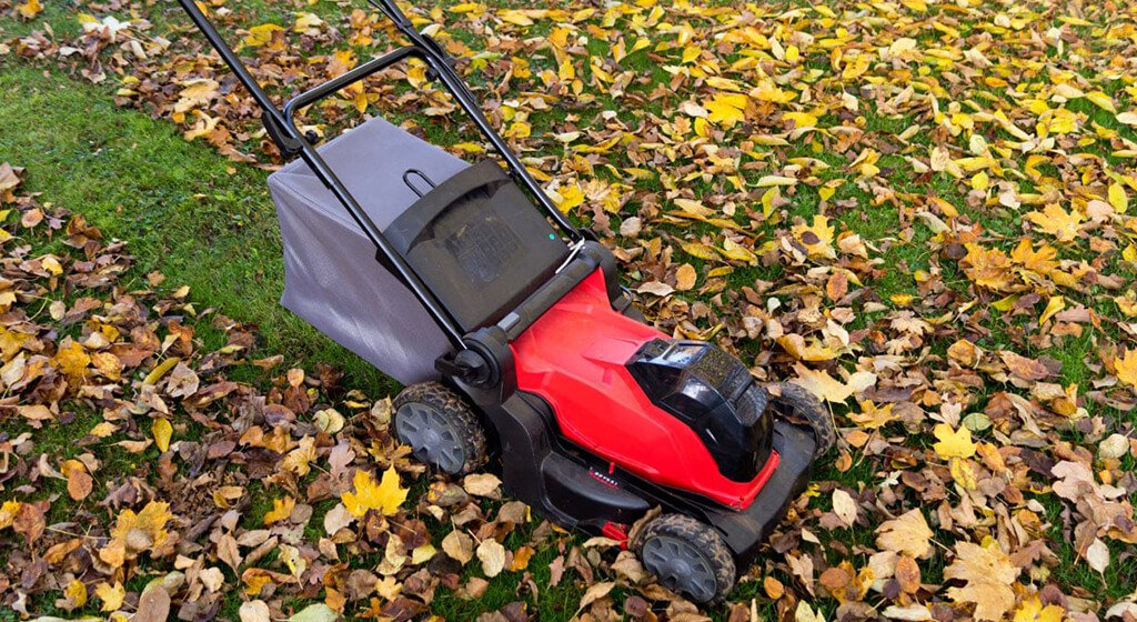 fall lawn mowing