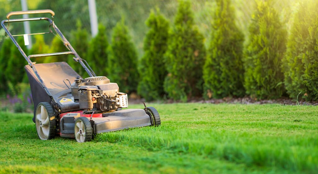 spring lawn mowing