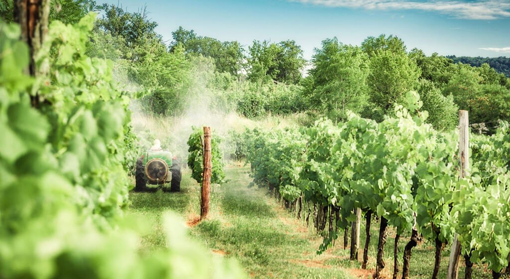 Choosing the Right Vineyard Sprayer Boom vs. Mist Blower