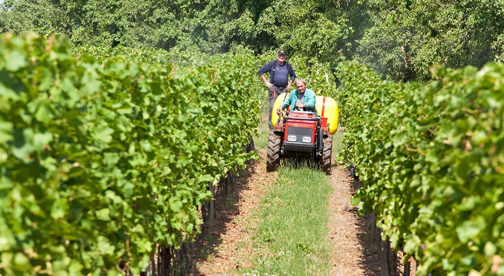 Choosing the Right Vineyard Sprayer Maneuverability