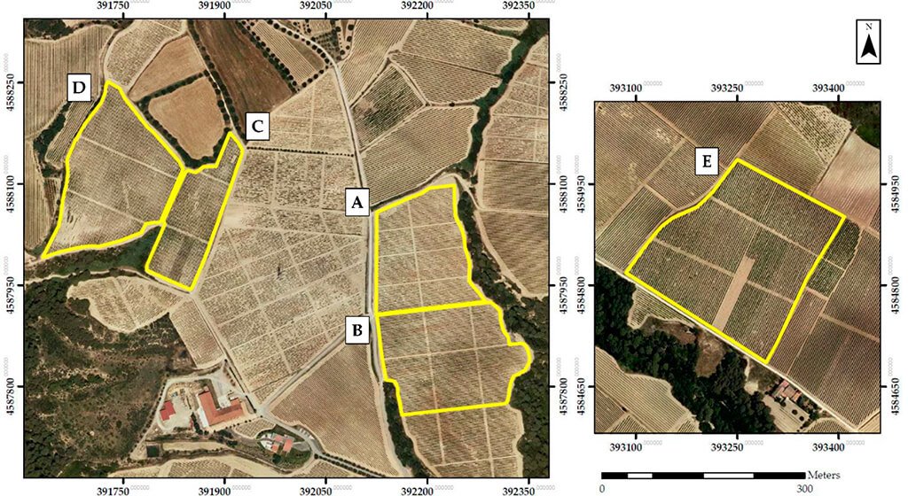 Choosing the Right Vineyard Sprayer Technology Integration