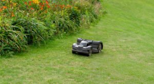How To Choose Brush Mowers
